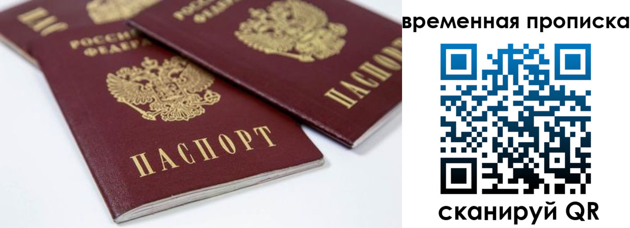 прописка для школы в Череповце